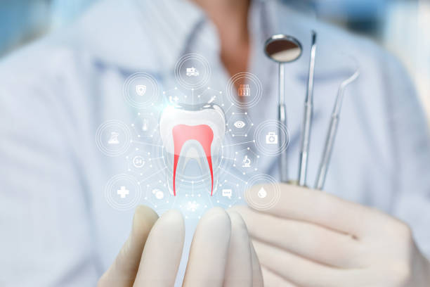  Vadnais Heights, MN Holistic Dental Services Pros